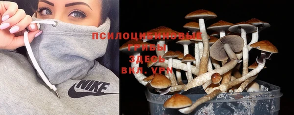 СК Магас