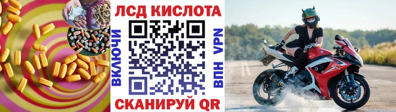 Купить закладки  Новый Оскол  ЛСД экстази ecstasy 